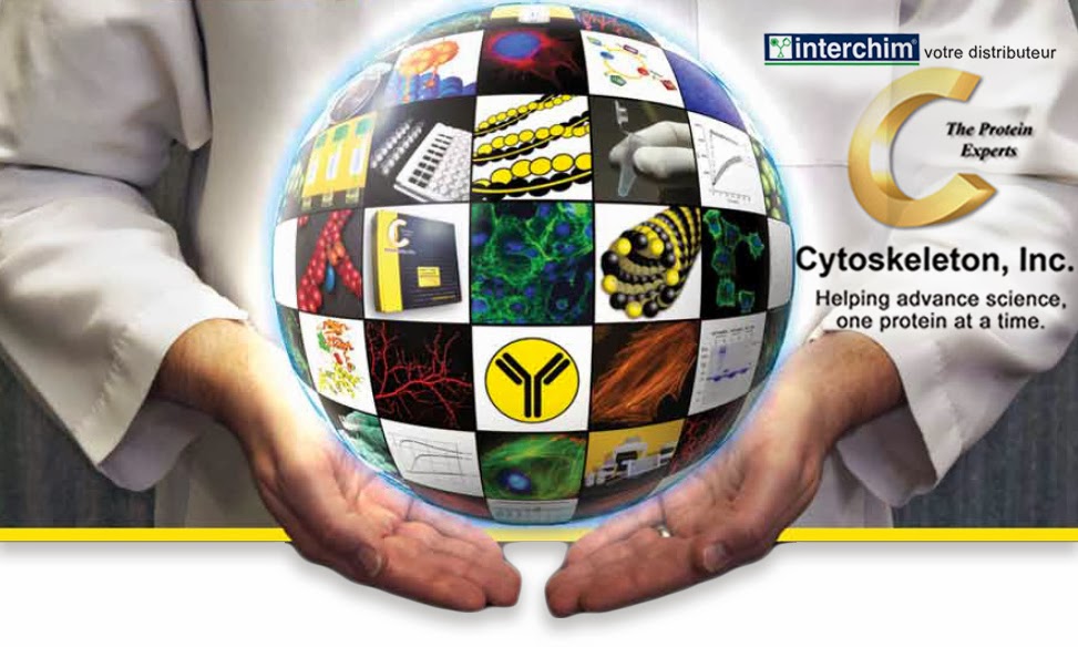 Cytoskeleton_interchim_blog_0214