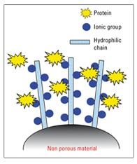 Tosoh_Interchim_Blog_1014