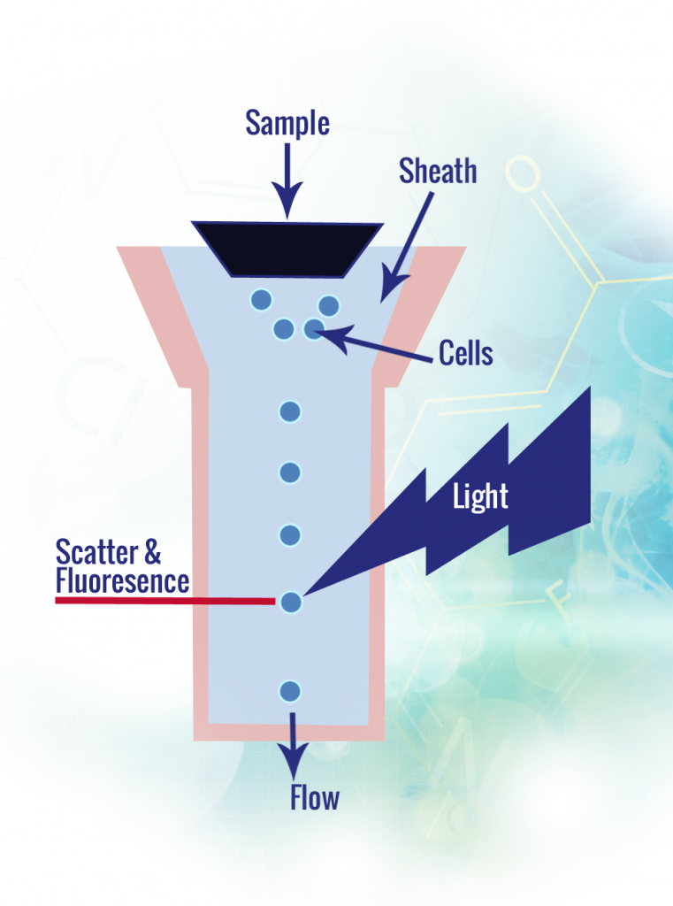 cytometrie_flux_Interchim_blog_1114