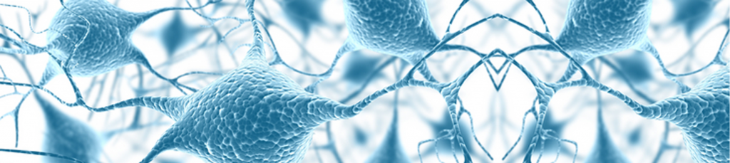 IBA_Solutions_Life_Sciences _interchim_blog_1214