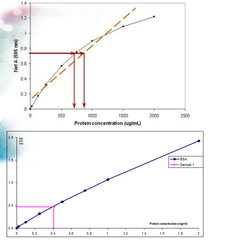 Coomassie_BCA_interchim_blog_0215