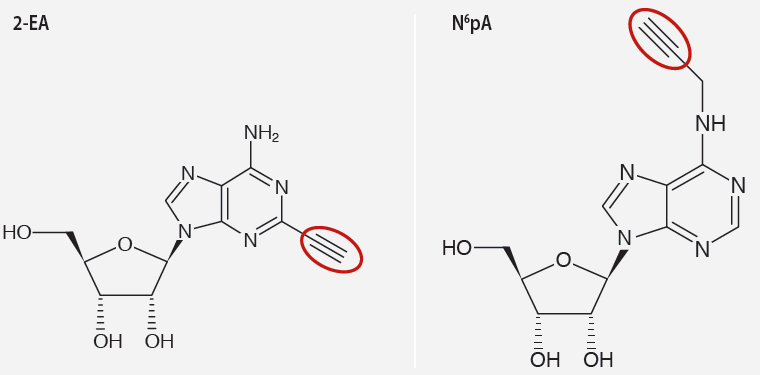 chimie_click_interchim_blog_0116