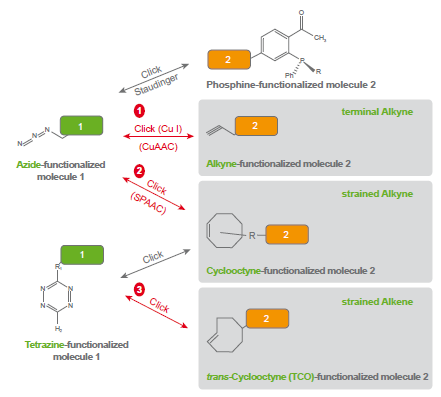 chimie_click_principe_interchim_blog_0116