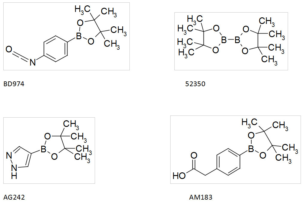 acide boronique_choix catalogue SYNHTESIS INTERMEDIATES_Interchim_blog_0616