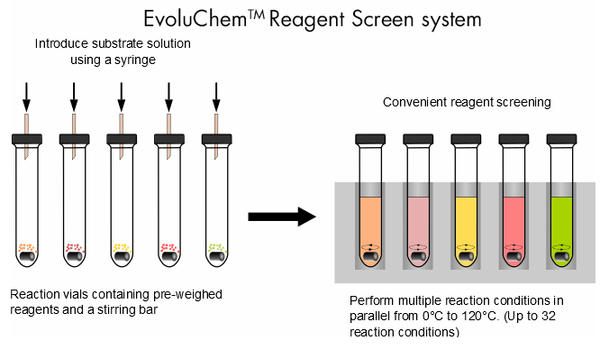 Evoluchem criblage reactif