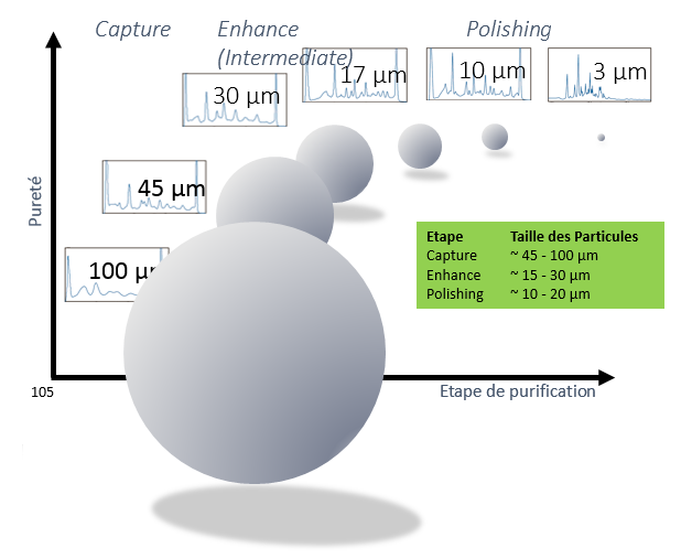 biomolecule_strategie_CEP_interchim_blog_0117_5