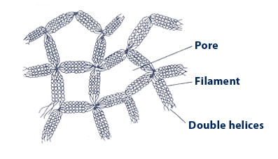 FormationOfPoresInAgaroseGel