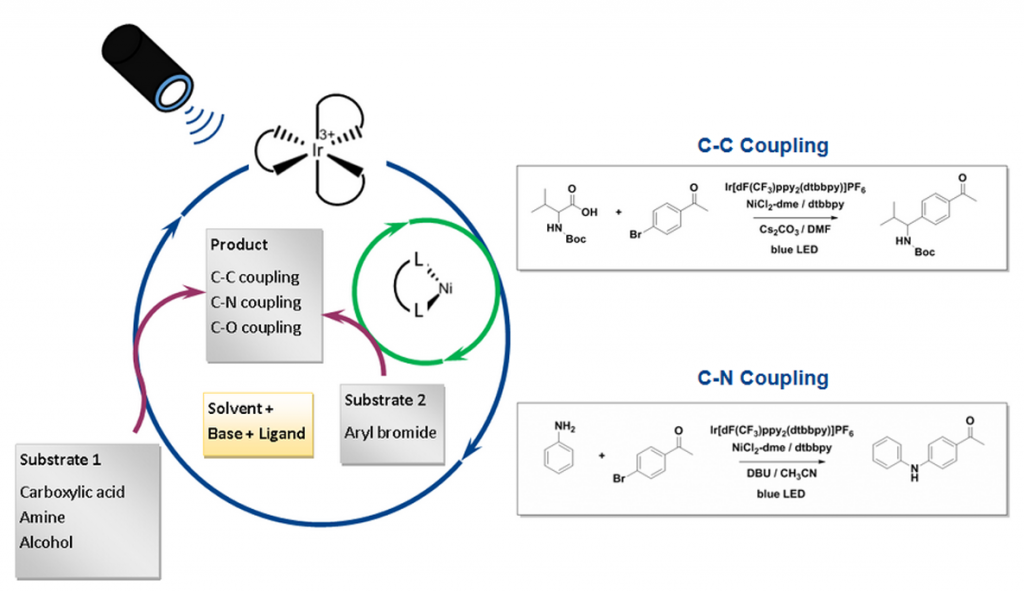 HepatoChem_photochemistry_c-c_coupling_interchim_blog0717