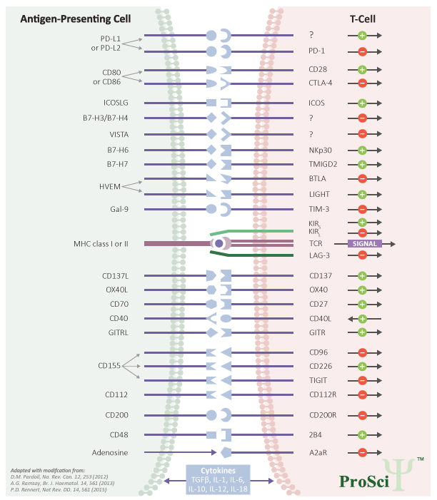 ImmuneCheckpoint-ProSci_interchim_blog0917