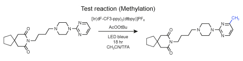 Test rection (Methylation)