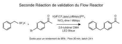 SchemaPhotoRedOx-FR-5_interchim_blog0218