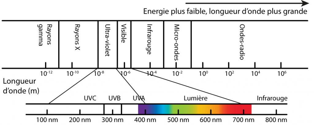 Spectre d'absorption électronique