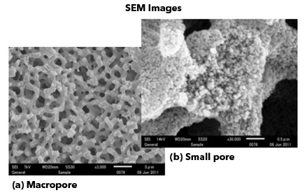 Microsoft PowerPoint - BioProcess Poster v3 Final.pptx