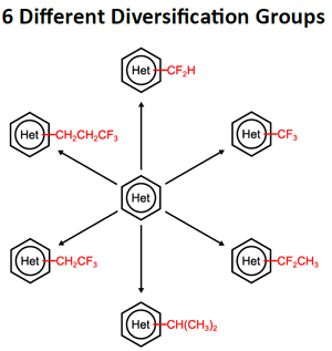 Sulfinate Alkylation Reagent Kit