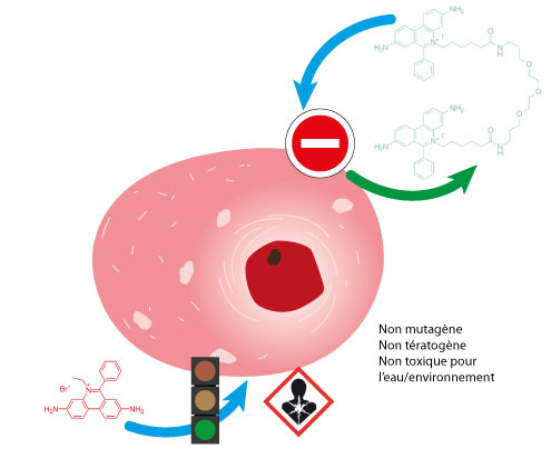 Schema_interchim_blog0918
