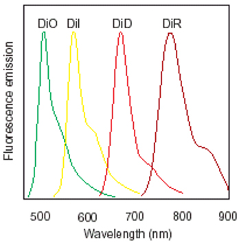 Schema Colorants Classiques
