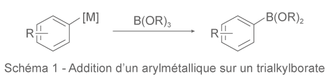 Schéma 1 - Addition d’un arylmétallique sur un trialkylborate