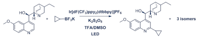 Reaction_Cyclopropyl BF3K & Hydroquinine