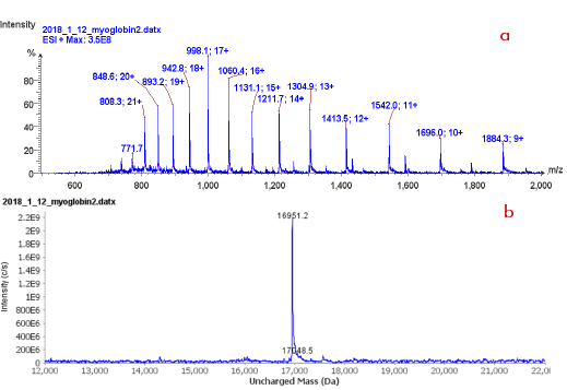 Spectre Myoglobin