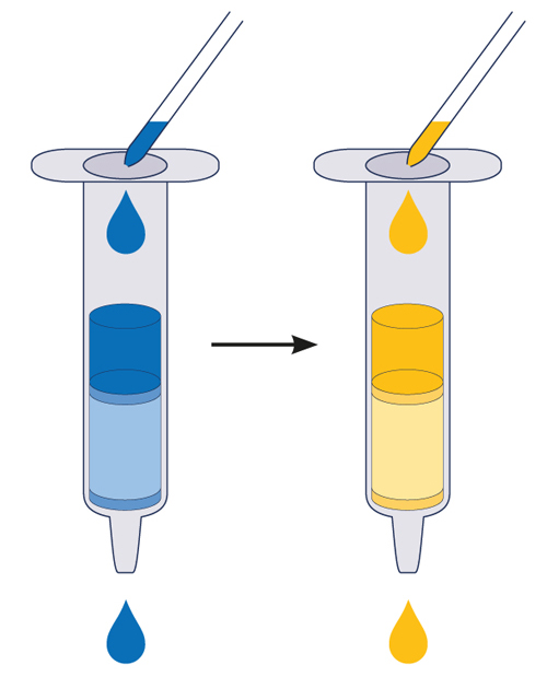 Conditionnement puis Equilibration
