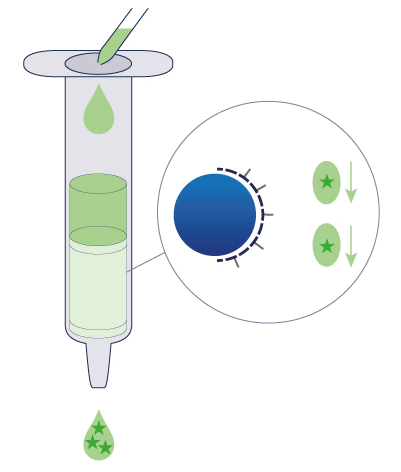SPE-Elution > 100% des composés élués par le solvant