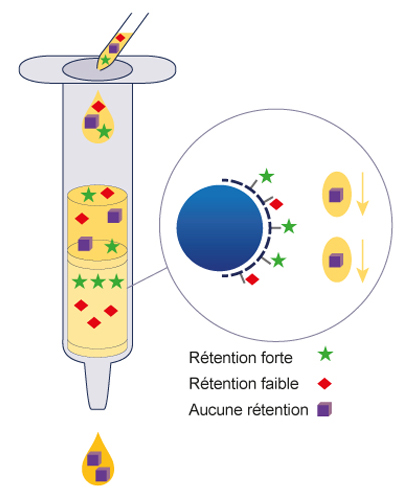 SPE-Introduction de l'échantillon