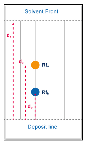 Interprétation des résultats