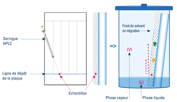 Migration_des_analytes