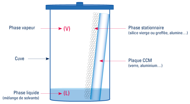Principe de la chromatographie sur CCM