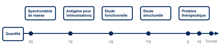 Les quantités de protéines peuvent être très différentes