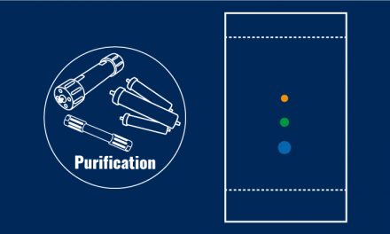Guide : La chromatographie sur Couche Mince (CCM)