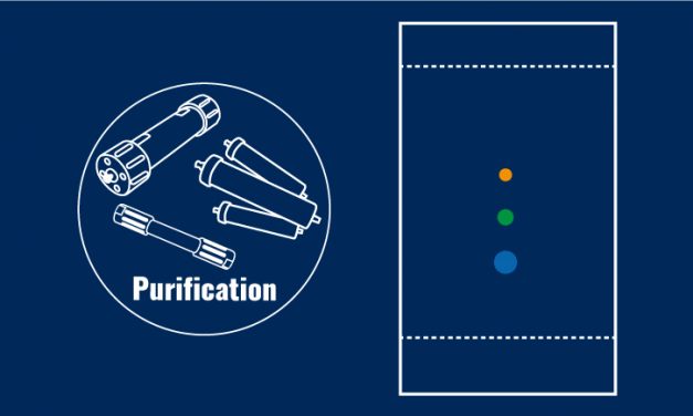 Guide : La chromatographie sur Couche Mince (CCM)
