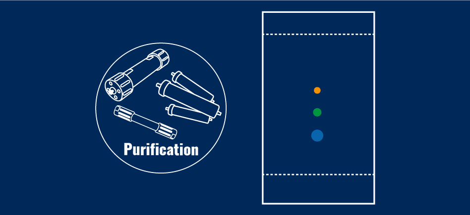 Guide : La chromatographie sur Couche Mince (CCM)