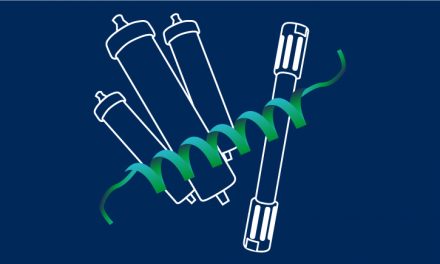 Colonnes puriFlash monolith