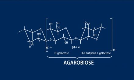 Les supports de purification des molécules biologiques – Protéines, protéines recombinantes & les techniques de purification possibles avec l’agarose