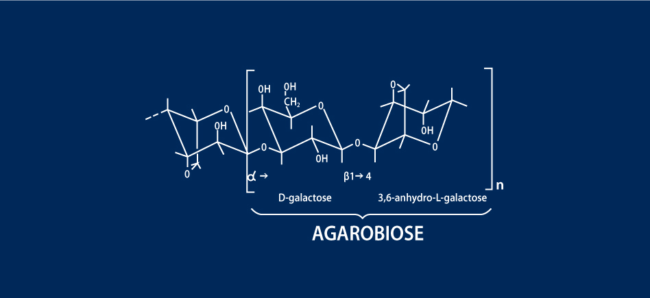 Les supports de purification des molécules biologiques – Protéines, protéines recombinantes & les techniques de purification possibles avec l’agarose
