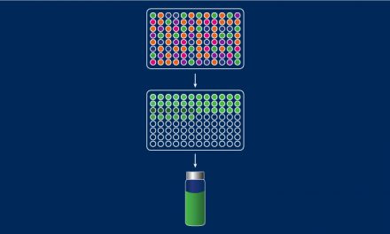 Comment diversifier vos « lead » et obtenir des analogues avec les kits Hepatochem