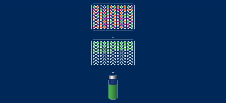 Comment diversifier vos « lead » et obtenir des analogues avec les kits Hepatochem