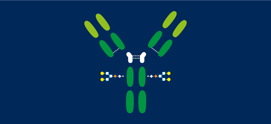 Guide : Techniques d’analyse et de purification des molécules biologiques