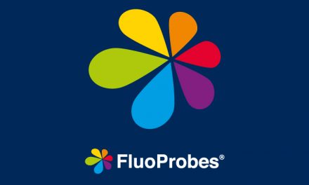 Guide : choisir ses marqueurs fluorescents de la surface cellulaire dans les cellules vivantes ou fixées
