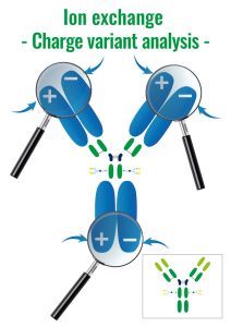 Analyse des variantes de charge