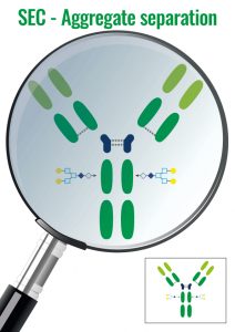 Analytical Purification Technics : SEC