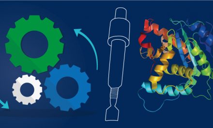Purification des protéines : Guide et éléments clés pour les réussir.