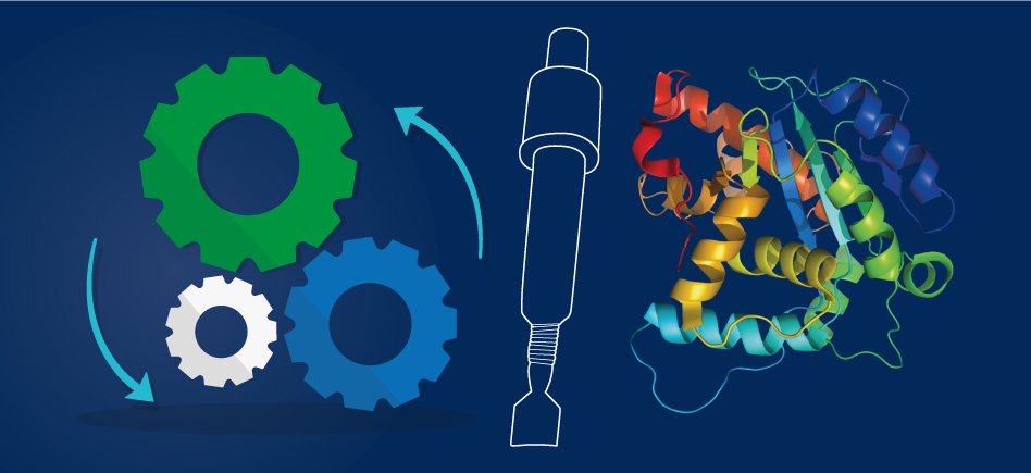 Purification des protéines : Guide et éléments clés pour les réussir.