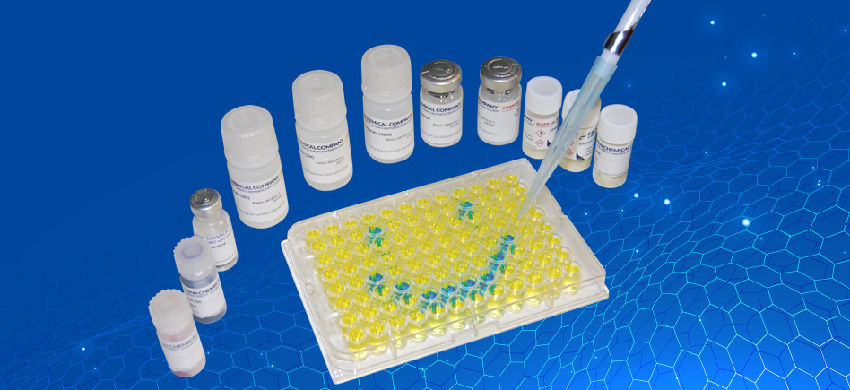Kits ELISA : La solution aux méthodes immuno-enzymatique