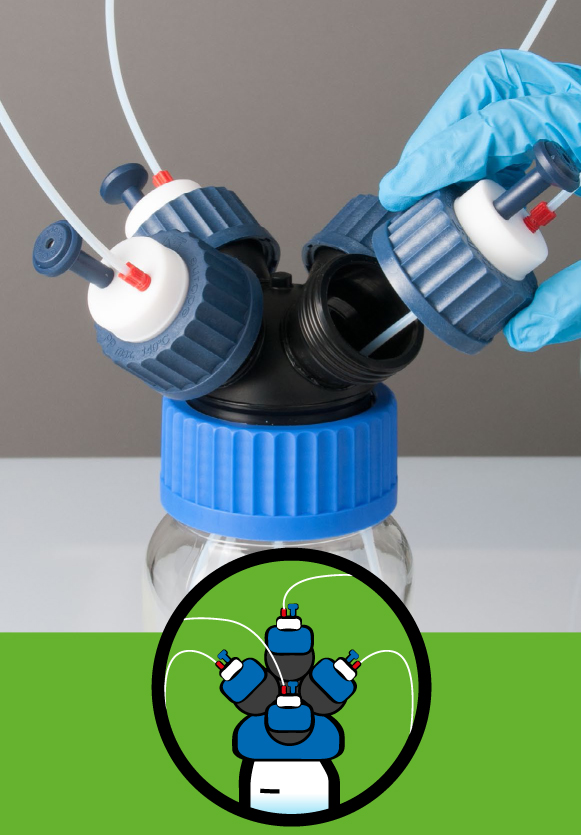 Processus de purge HPLC avec Wermer