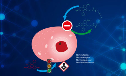 6 choses à savoir pour une coloration optimale des gels d’acides nucléiques : les solutions GelRed et GelGreen