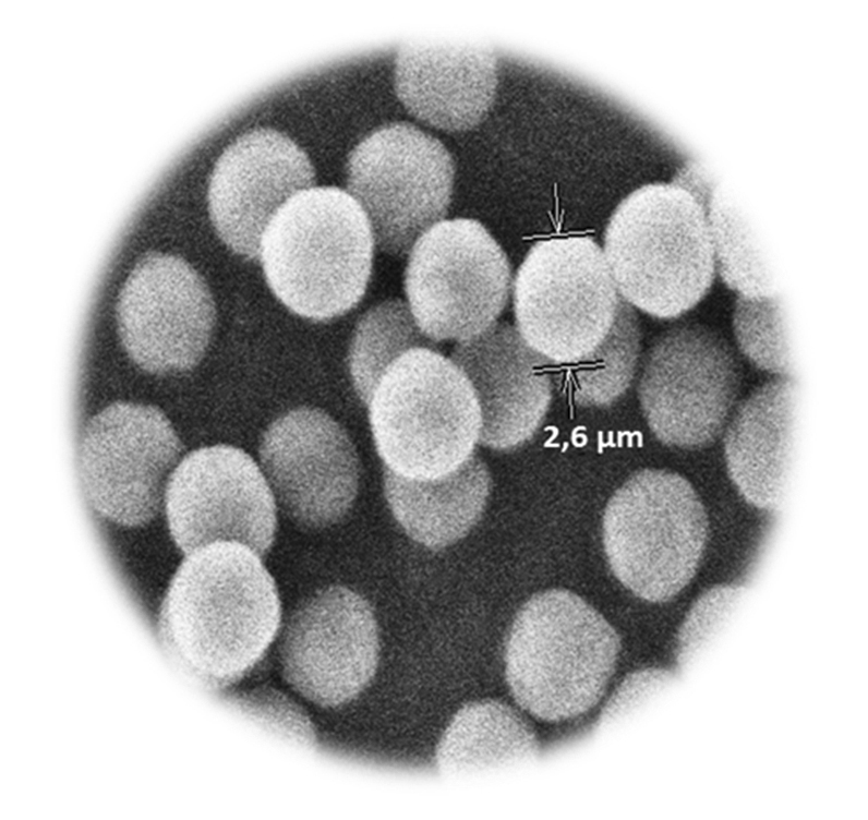 Etude en microscopie electronique