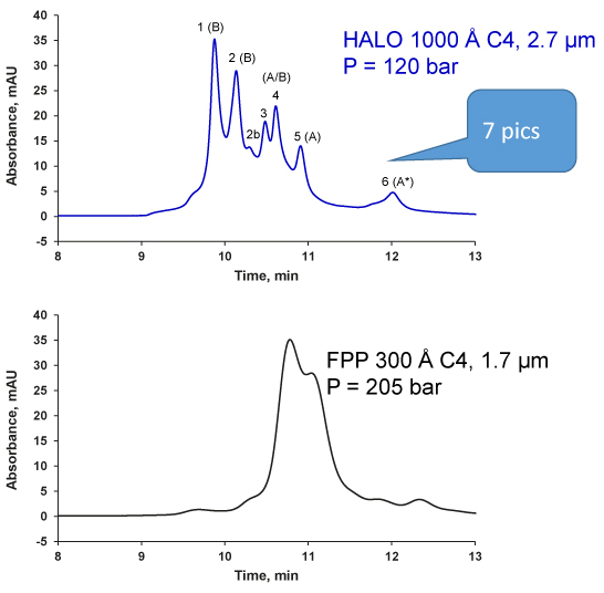 Caractérisation d’anticorps monoclonaux