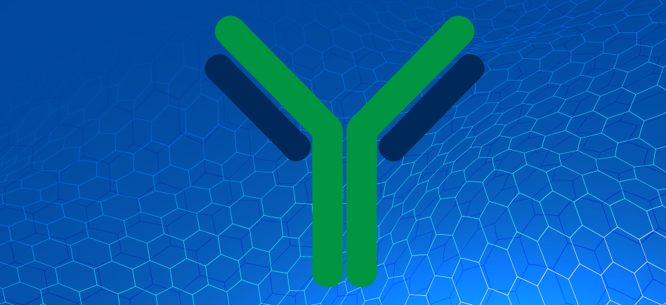 Choisir son anticorps secondaire et diminuer le bruit de fond